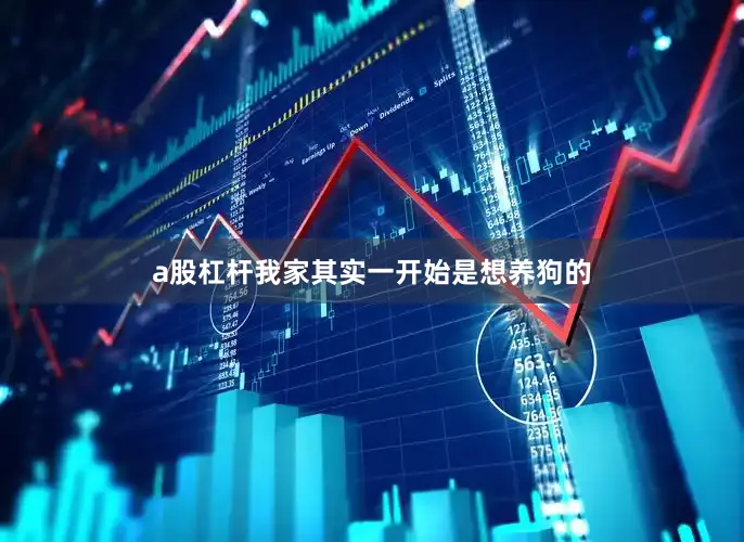 a股杠杆我家其实一开始是想养狗的